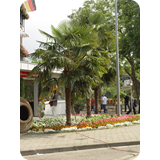 Schaufenster 2009 BK 05