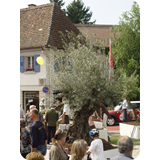 Schaufenster 2009 BK 07