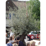 Schaufenster 2009 BK 08