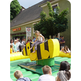 Schaufenster 2009 BK 11