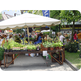 Schaufenster 2009 BK 14