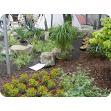 Schaufenster 2009 BK 22