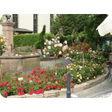 Schaufenster 2009 BK 27