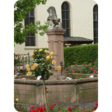 Schaufenster 2009 BK 29