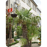 Schaufenster 2009 BK 31