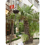 Schaufenster 2009 BK 32