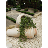 Schaufenster 2009 BK 35