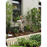 Schaufenster 2009 BK 36