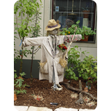 Schaufenster 2009 BK 37