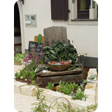 Schaufenster 2009 BK 38