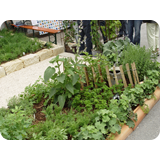 Schaufenster 2009 BK 39