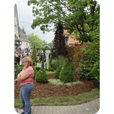 Schaufenster 2009 BK 40