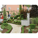 Schaufenster 2009 BK 41