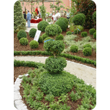 Schaufenster 2009 BK 42