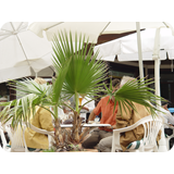 Schaufenster 2009 BK 48