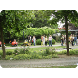 Schaufenster 2009 BK 53