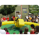 Schaufenster 2009 BK 55