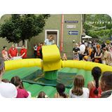 Schaufenster 2009 BK 56