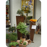 Schaufenster 2009 BK 63