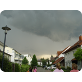 Schaufenster 2009 BK 64