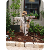 Schaufenster 2009 BK 66