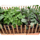 Schaufenster 2009 BK 67