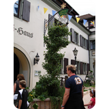 Schaufenster 2009 BK 68