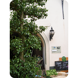 Schaufenster 2009 BK 69