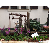 Schaufenster 2009 BK 70