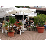 Schaufenster 2009 BK 74