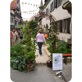 Schaufenster 2009 BK 75