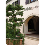 Schaufenster 2009 BK 76