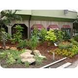 Schaufenster 2009 BK 79